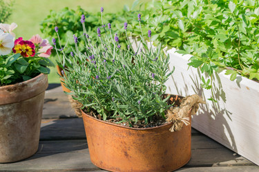 Similar image 21077243