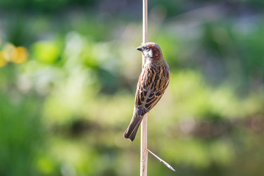 Similar image 21077298