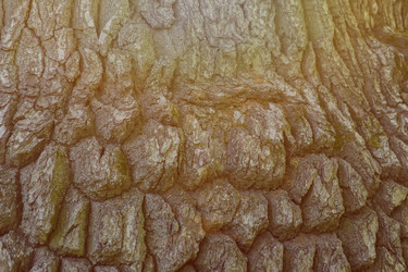 Similar image 21077299