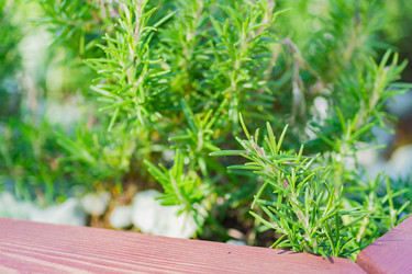 Similar image 21077303