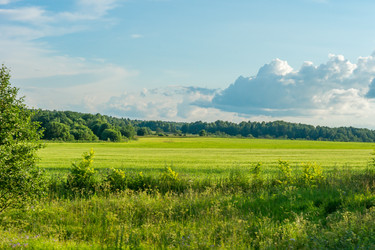 Similar image 21078421