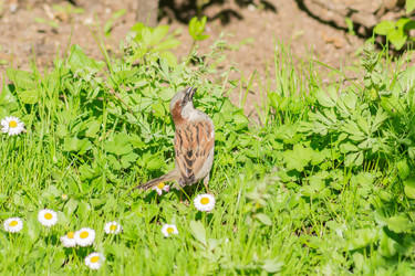 Similar image 21077306