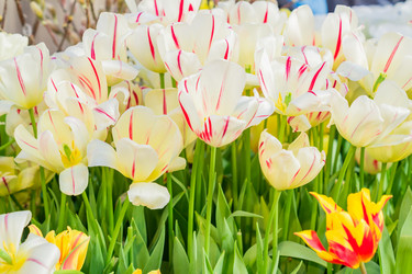 Similar image 21078422