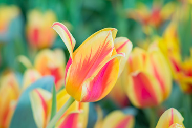 Similar image 21078424