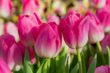 Similar image 21078428