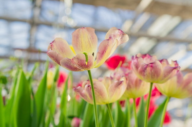 Similar image 21078429