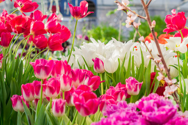 Similar image 21078431