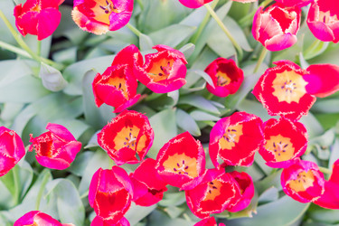 Similar image 21078434