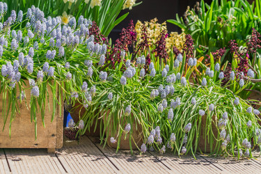 Similar image 21053524