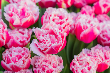 Similar image 21055412