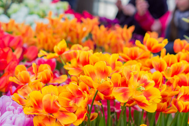 Similar image 21055413