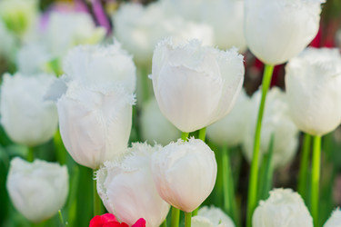 Similar image 21055415