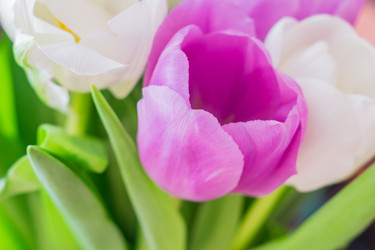 Similar image 21055417