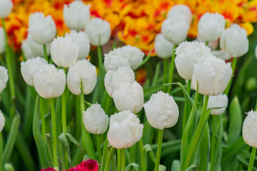 Similar image 21060969