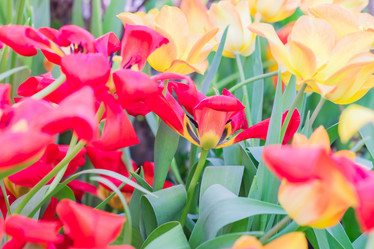 Similar image 21060970