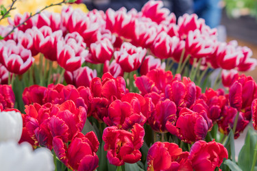 Similar image 21060972