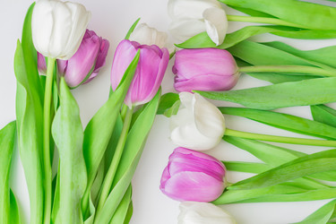 Similar image 21060973