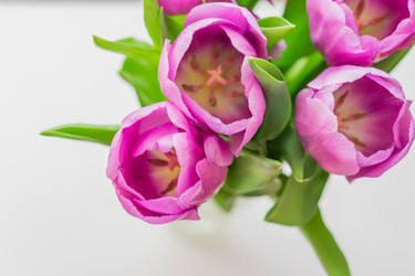 Similar image 21060974