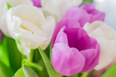 Similar image 21060976