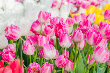 Similar image 21067172