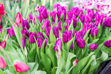 Similar image 21067173