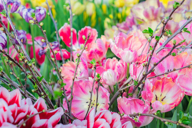 Similar image 21067174