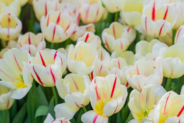 Similar image 21067175