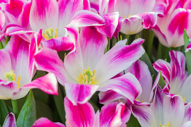 Similar image 21067176