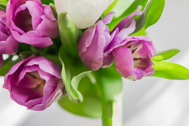 Similar image 21067198