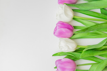 Similar image 21073315