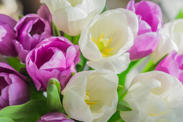 Similar image 21073316