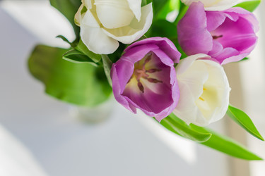 Similar image 21073317