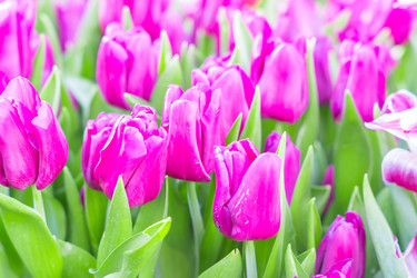 Similar image 21073326