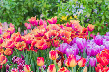 Similar image 21073327