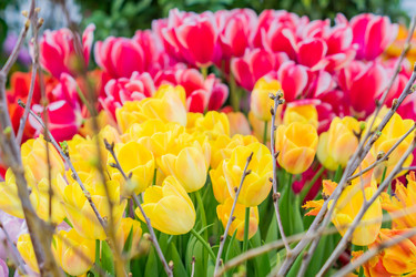 Similar image 21073328