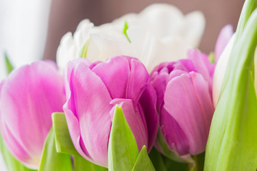 Similar image 21077228