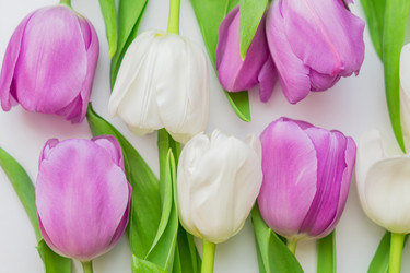 Similar image 21077229