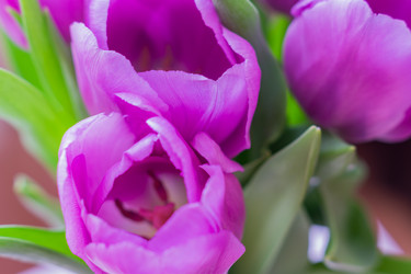 Similar image 21077230