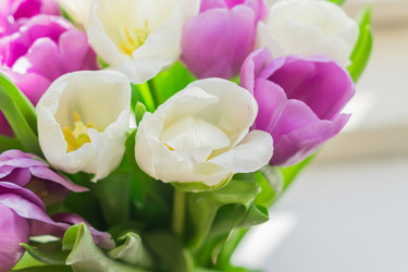 Similar image 21077246