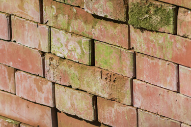 Similar image 21077247