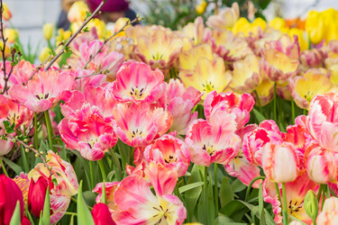 Similar image 21077317