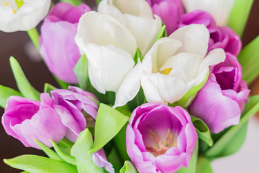 Similar image 21077321