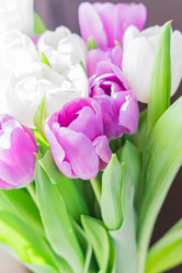 Similar image 21078207