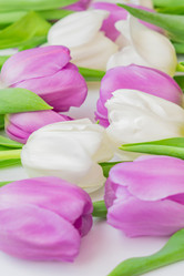 Similar image 21078208