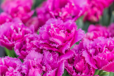 Similar image 21078448