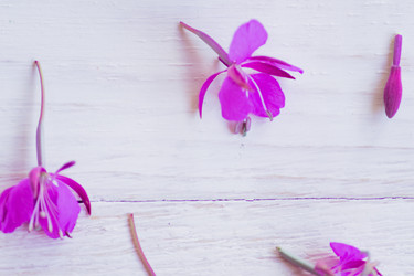 Similar image 21053525