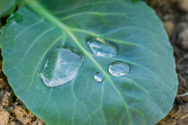 Similar image 21060982