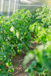 Similar image 21060983