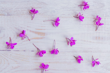 Similar image 21060988