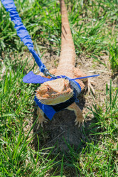 Similar image 21060990